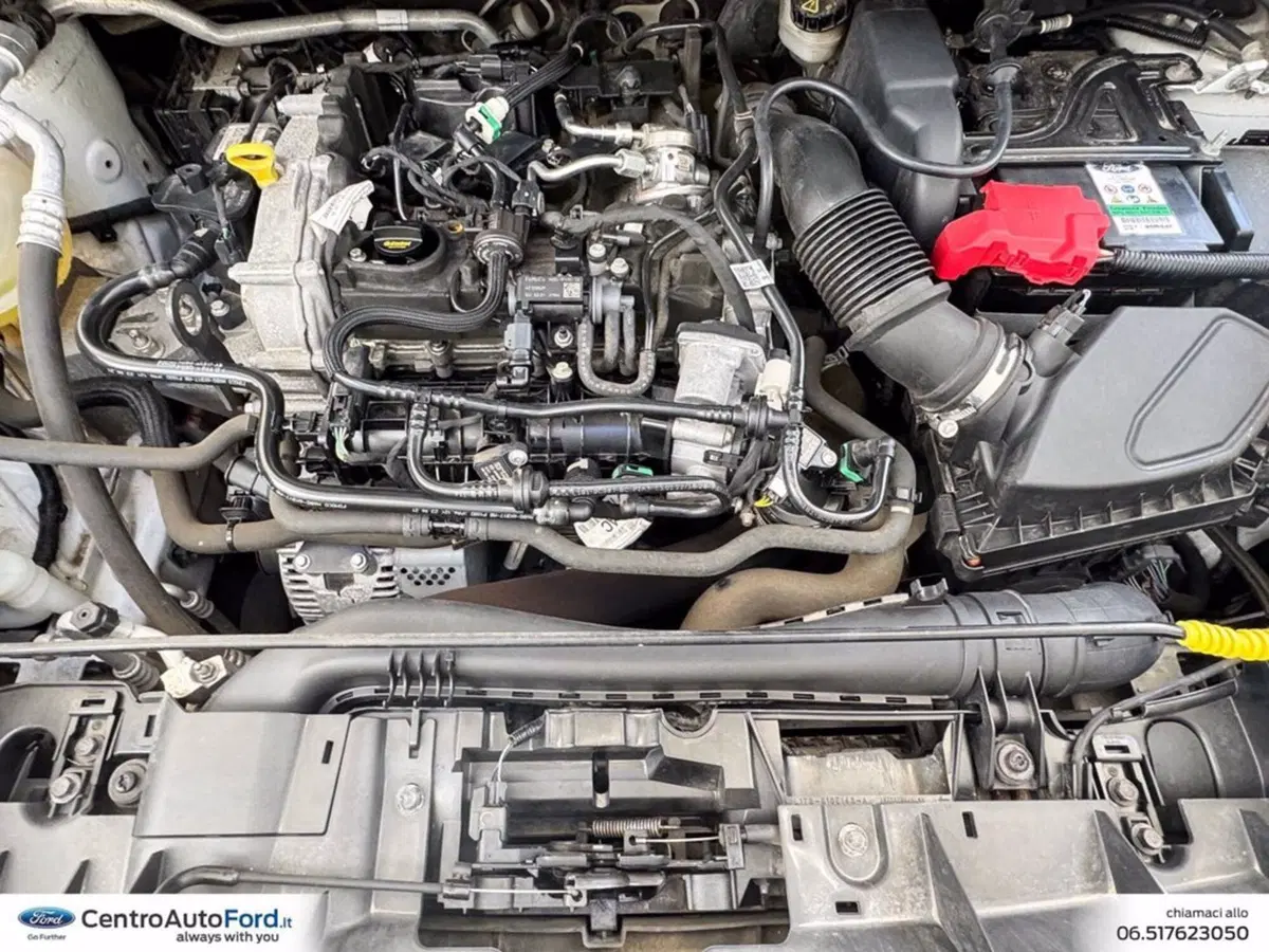 Ford Puma usata a Roma (11)
