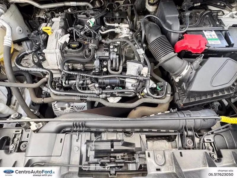 Ford Puma usata a Roma (11)