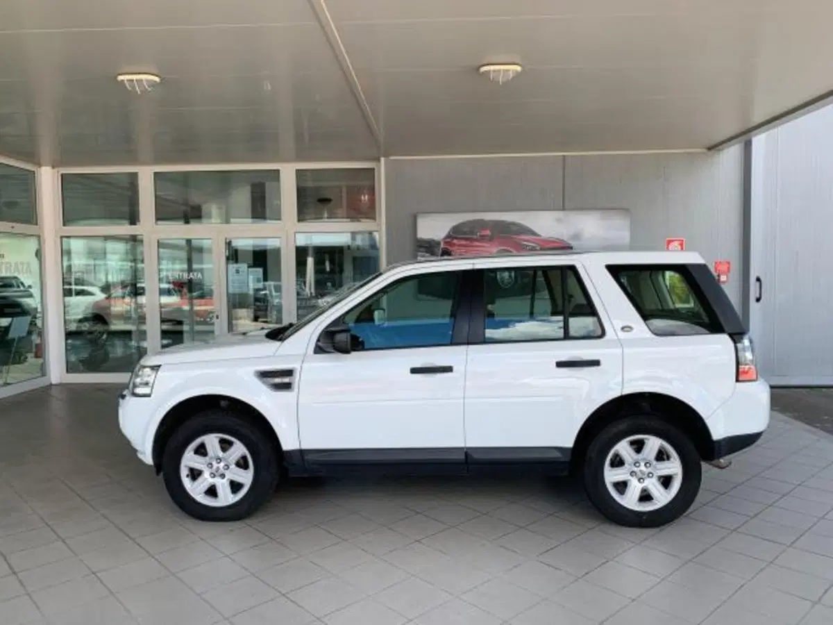 Land Rover Freelander usata a Trieste (2)