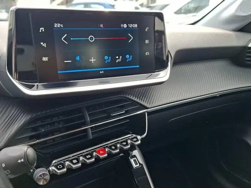 Peugeot 208 usata a Torino (9)