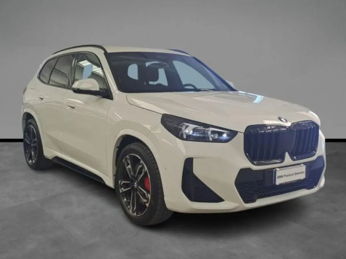 BMW X1 usata a Verona (15)