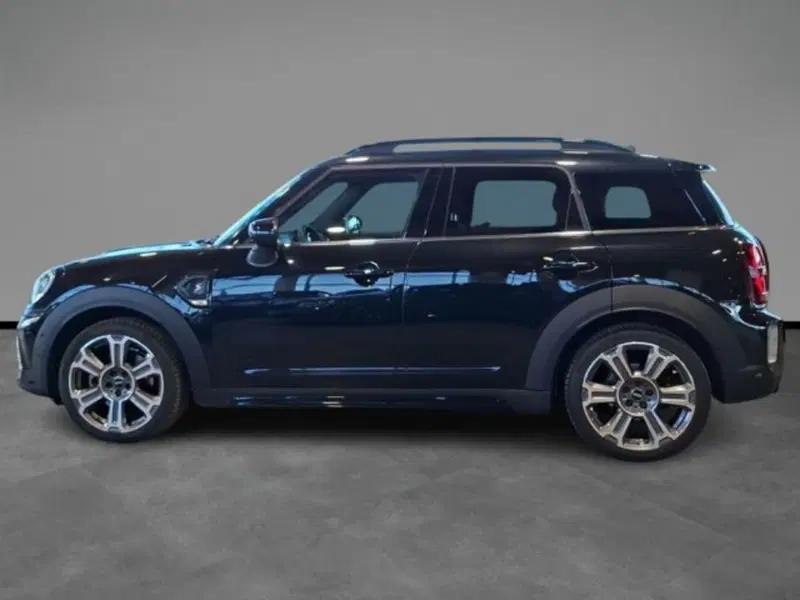 MINI Mini Countryman usata a Verona (3)
