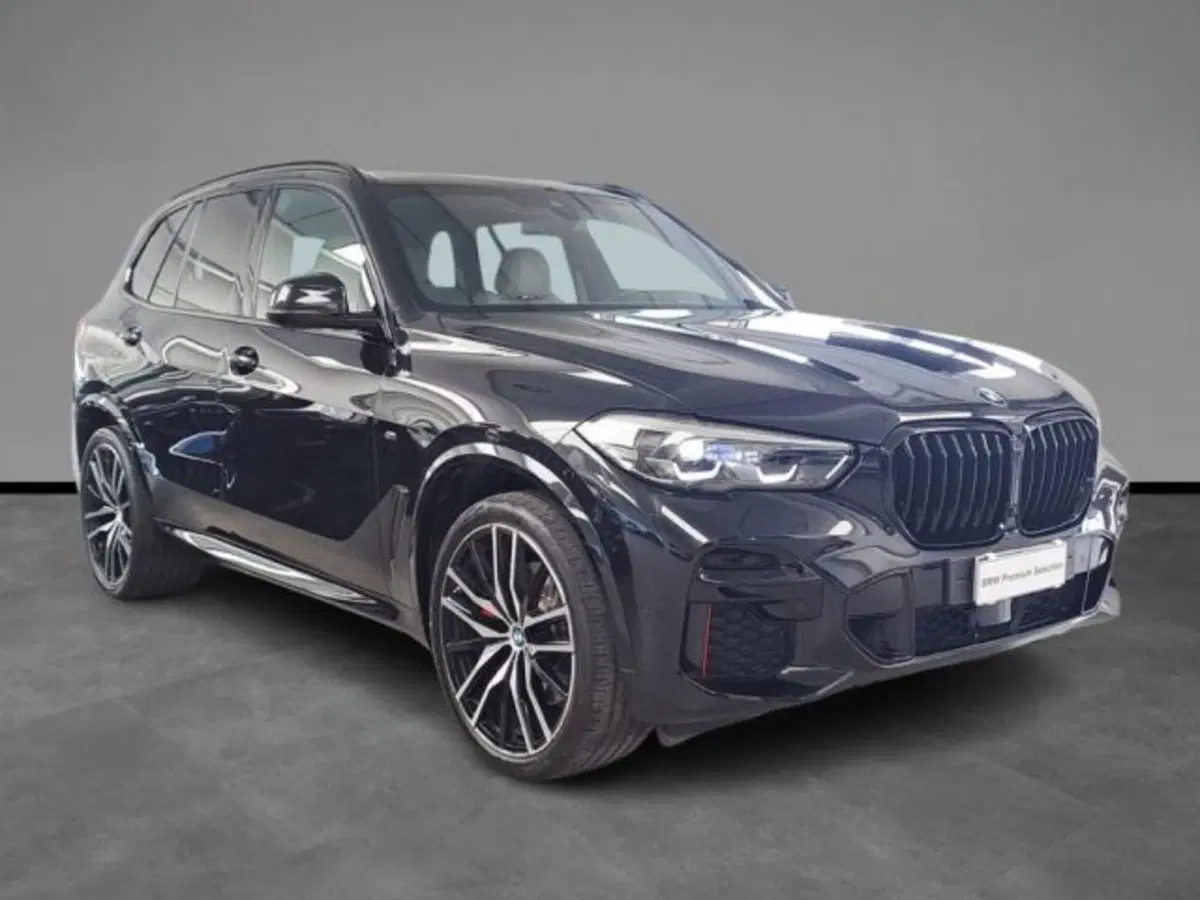 BMW X5 usata a Verona (15)