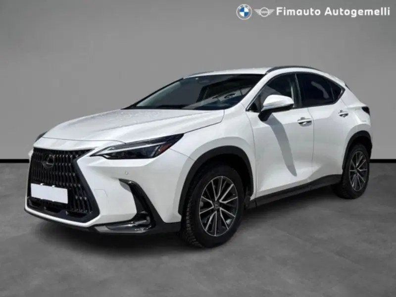 Lexus NX usata a Verona
