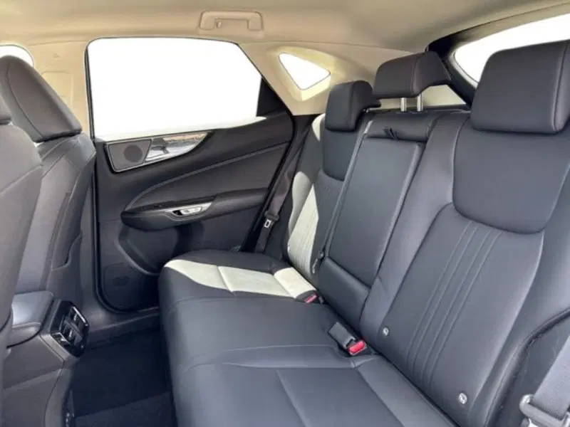 Lexus NX usata a Verona (10)