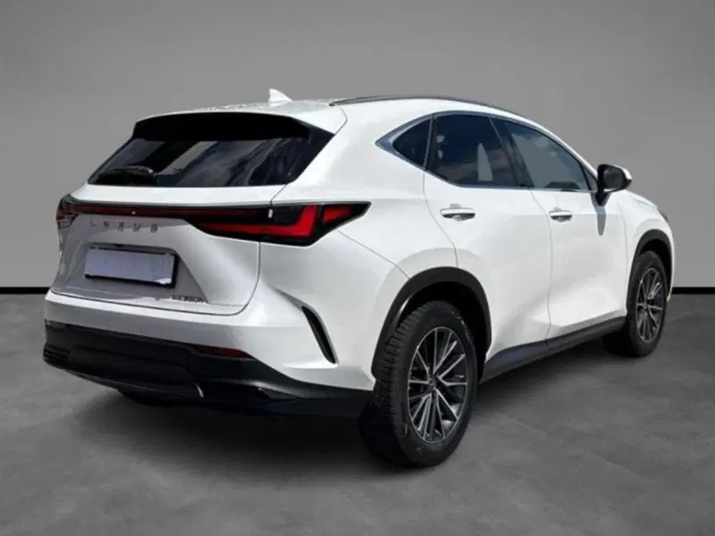 Lexus NX usata a Verona (14)