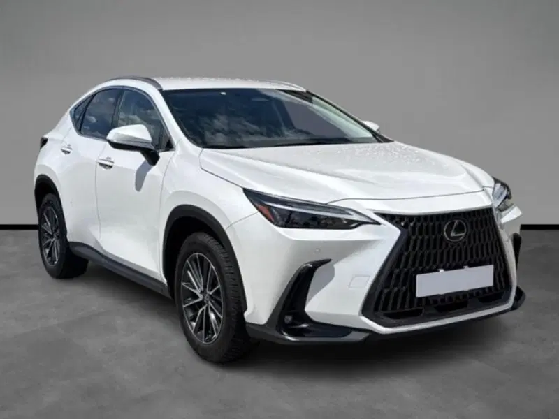 Lexus NX usata a Verona (15)