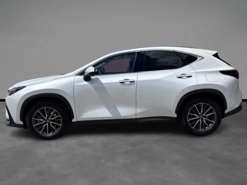 Lexus NX usata a Verona (2)
