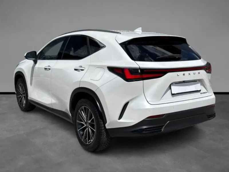 Lexus NX usata a Verona (3)