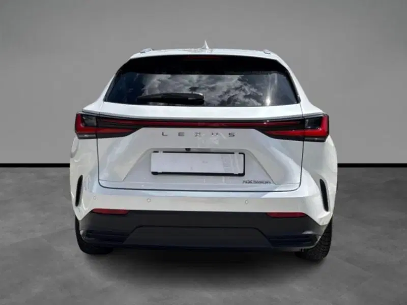Lexus NX usata a Verona (4)