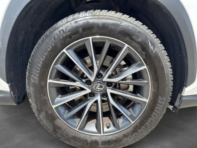 Lexus NX usata a Verona (5)