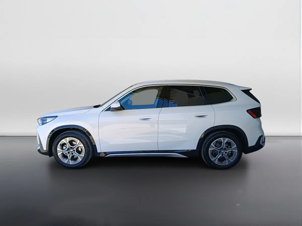 BMW X1 usata a Ascoli Piceno (6)