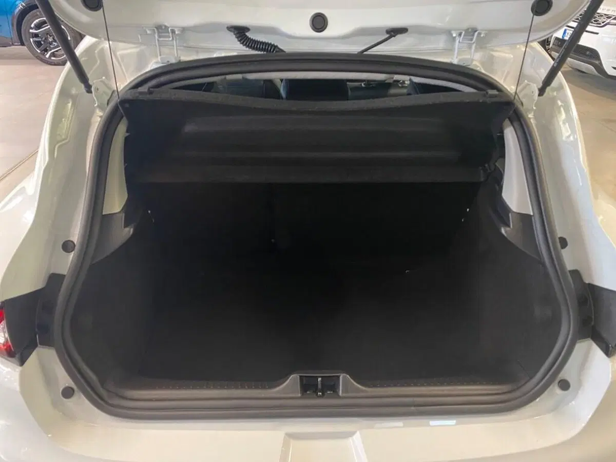 Renault Clio usata a Torino (9)
