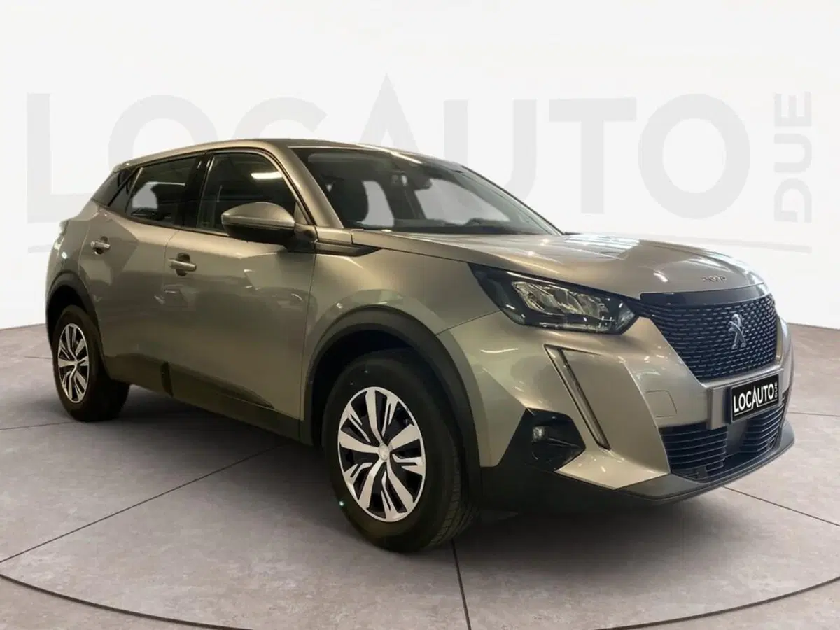 Peugeot 2008 usata a Torino (3)