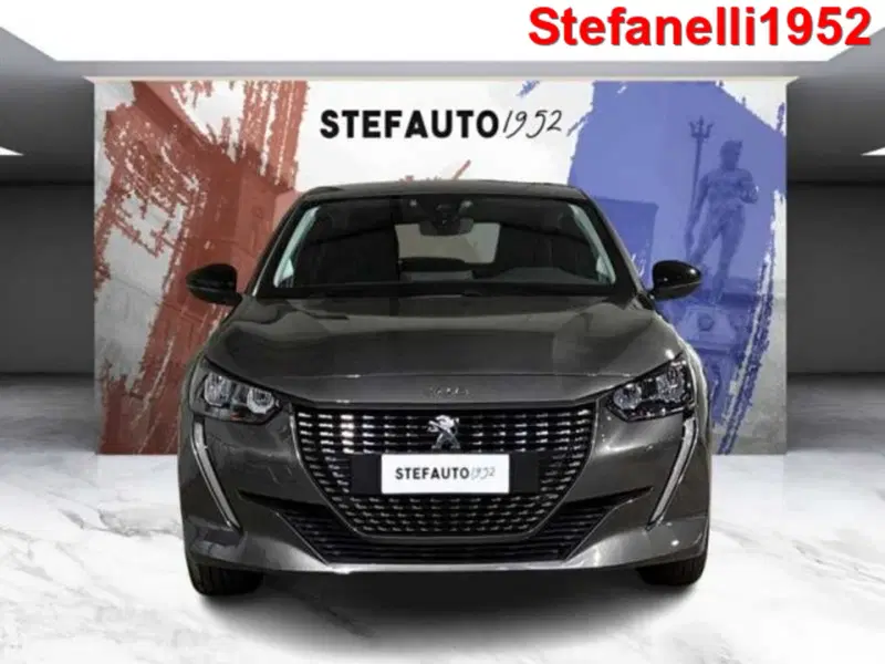 Peugeot 208 usata a Bologna (2)