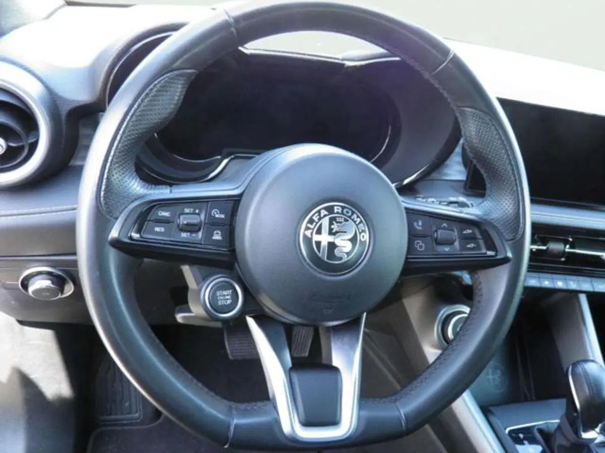 Alfa Romeo Tonale usata a Firenze (15)