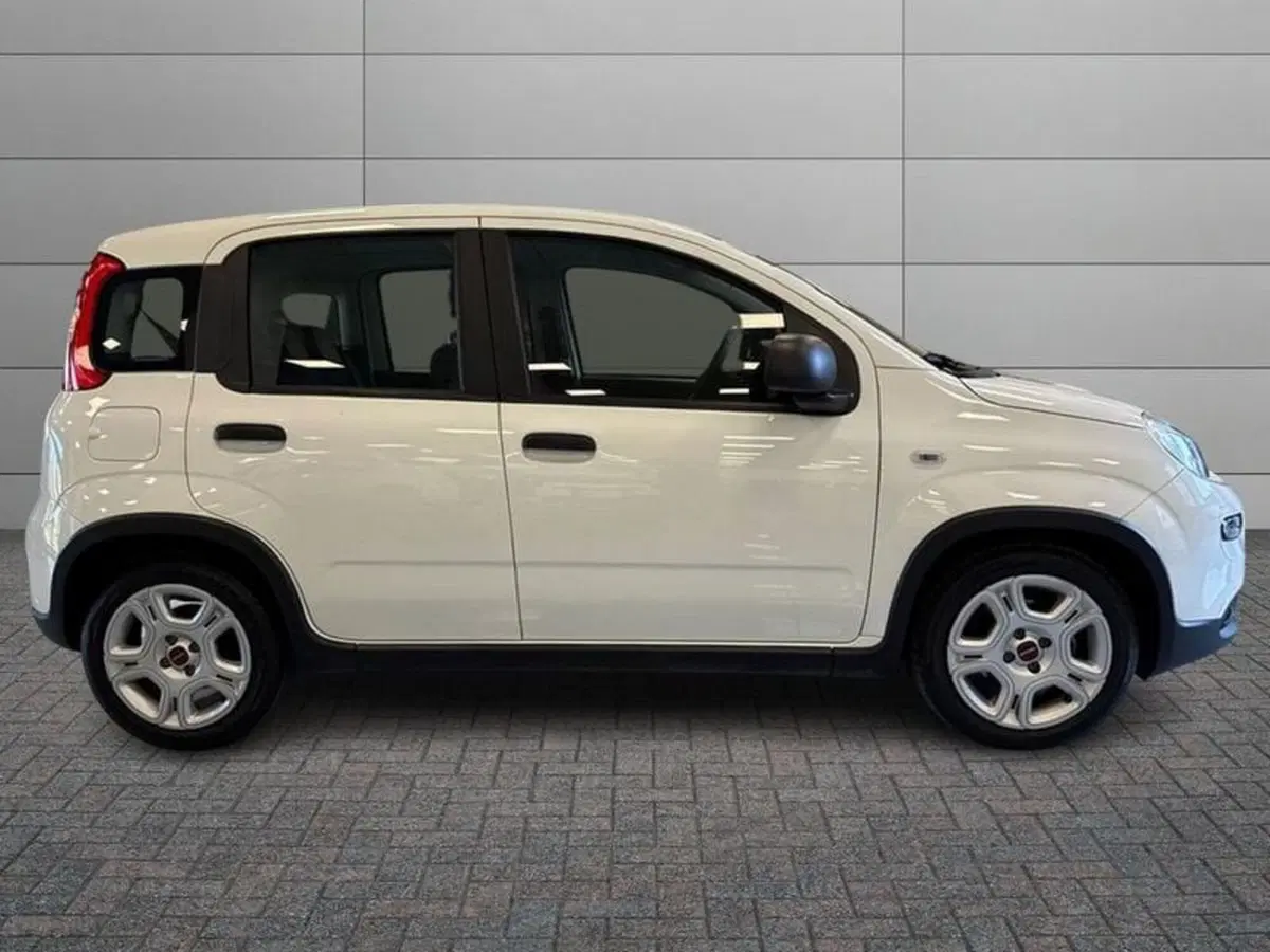 Fiat Panda Cross usata a Prato (4)