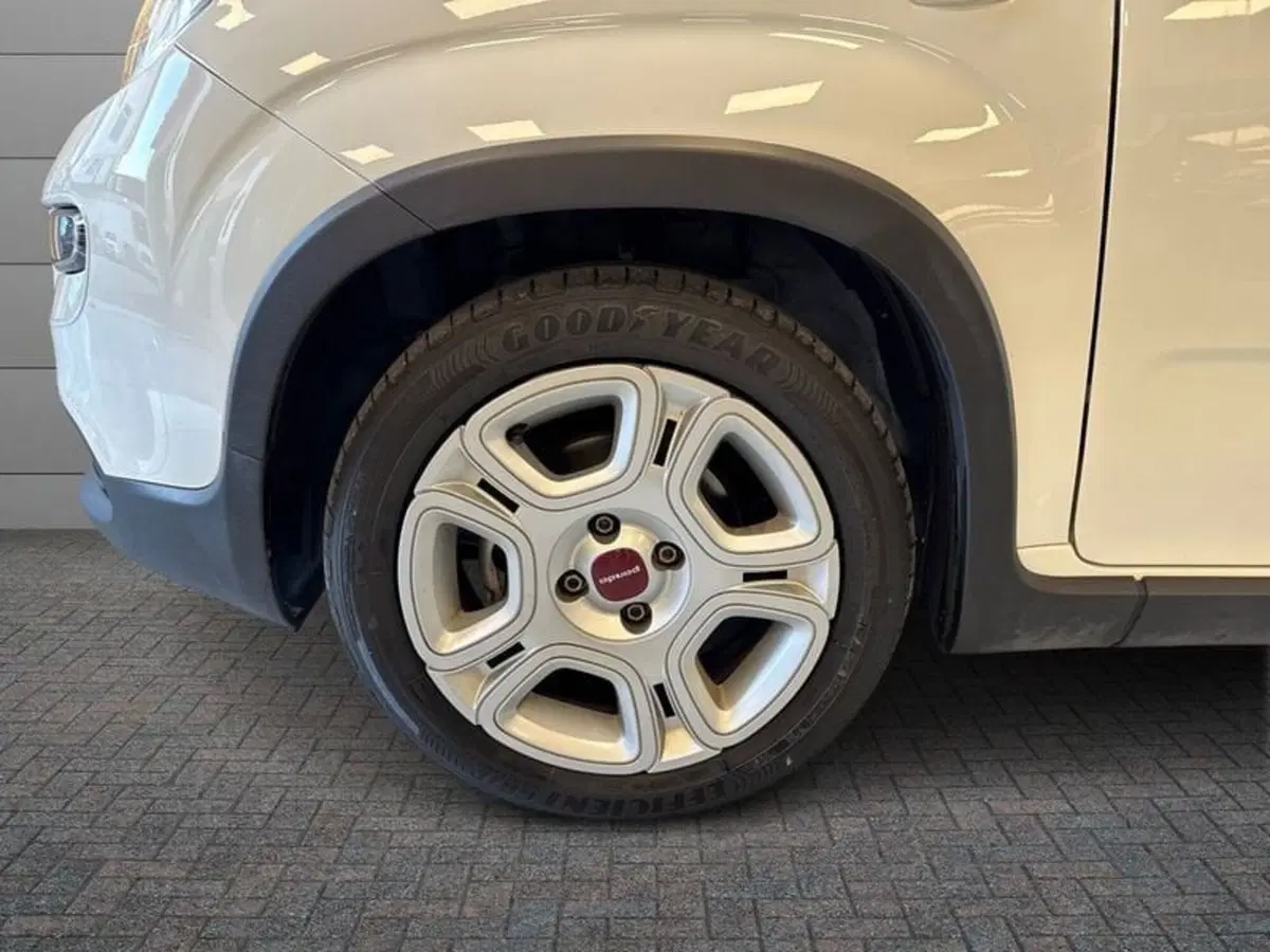 Fiat Panda Cross usata a Prato (7)