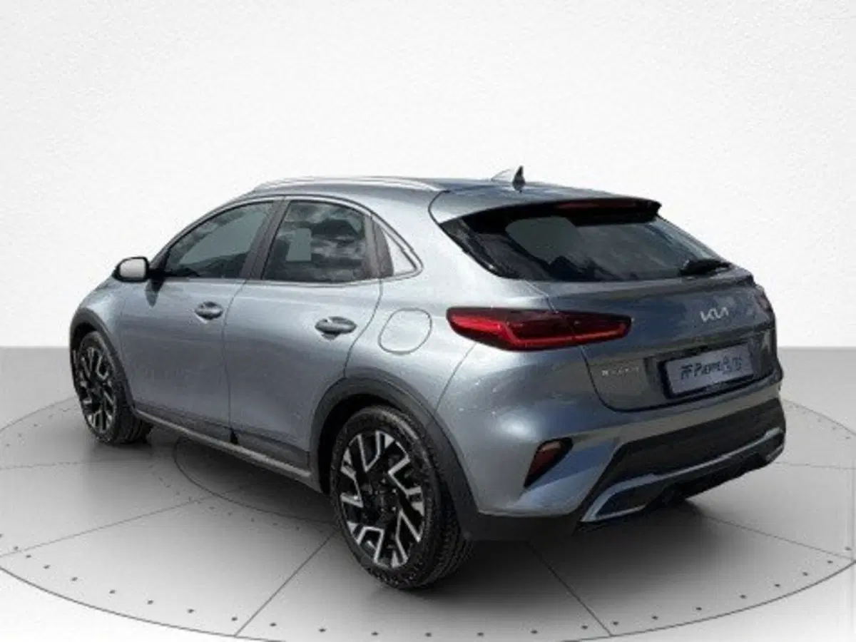 Kia XCeed usata a Macerata (4)