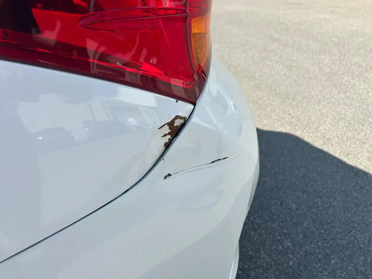 Toyota Auris Station Wagon usata a Piacenza (11)