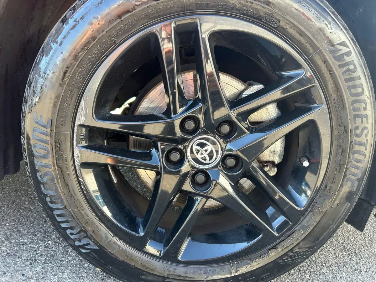 Toyota Toyota C-HR usata a Piacenza (17)