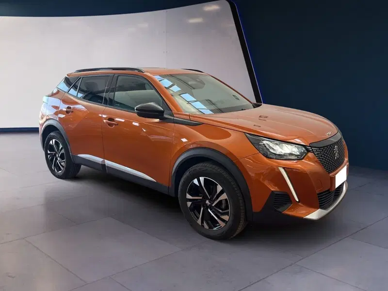 Peugeot 2008 usata a Torino (2)
