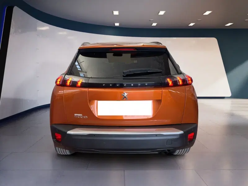 Peugeot 2008 usata a Torino (5)