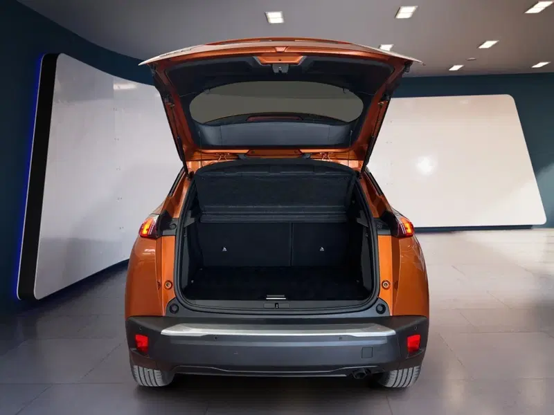 Peugeot 2008 usata a Torino (8)