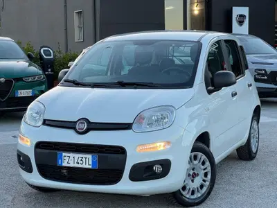Fiat Panda 1.2 Easy Van 4 posti del 2020 usata a Matera
