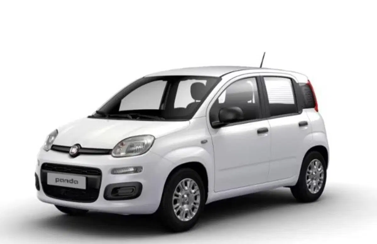 Fiat Pandina nuova a Monza e Brianza (2)
