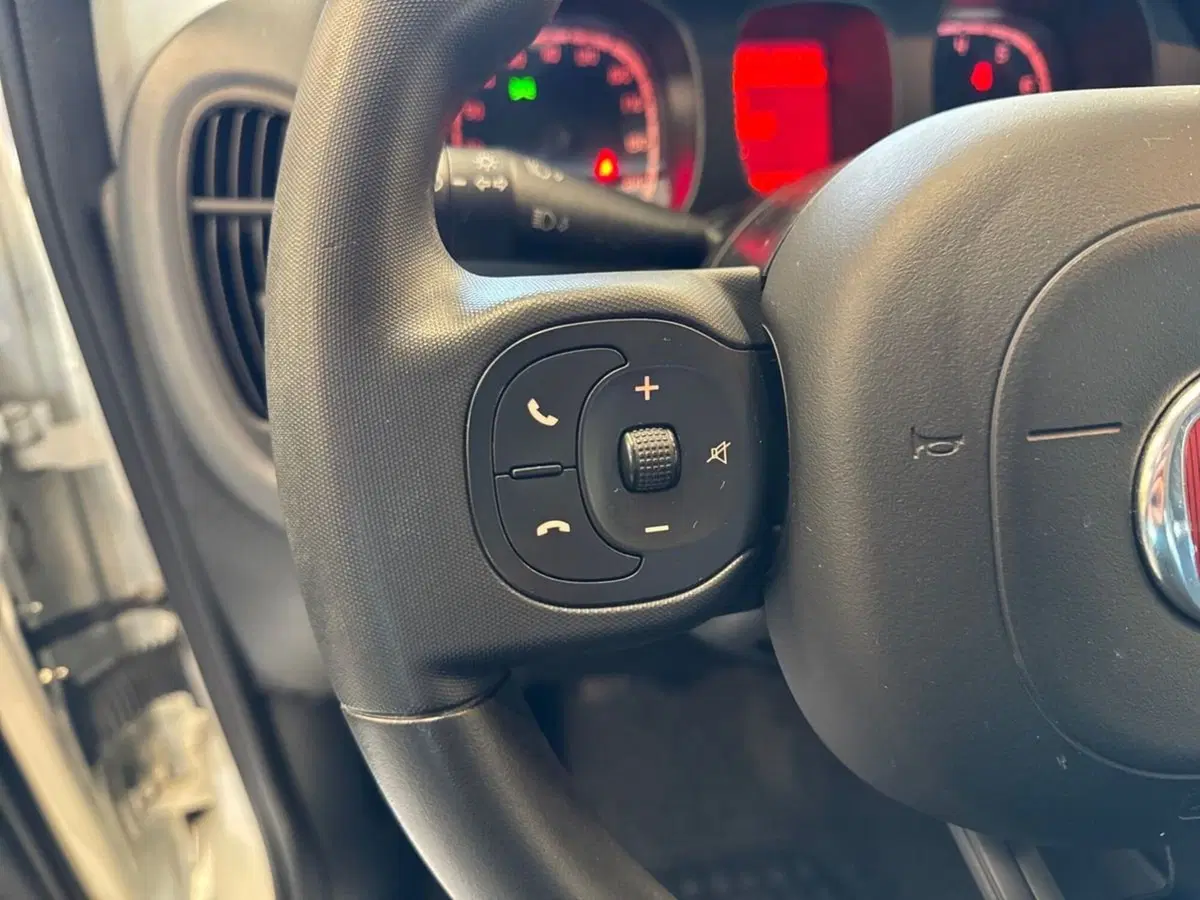 Fiat Panda Cross usata a Prato (10)