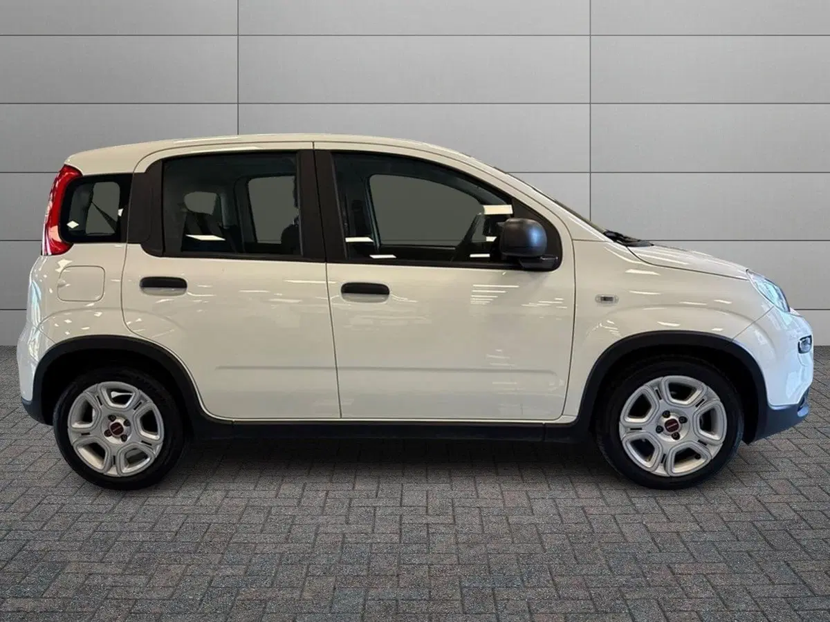 Fiat Panda Cross usata a Prato (4)