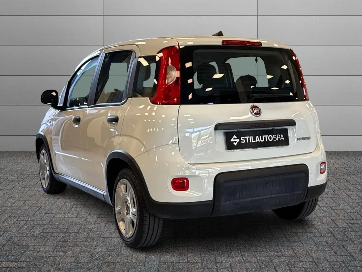 Fiat Panda Cross usata a Prato (6)