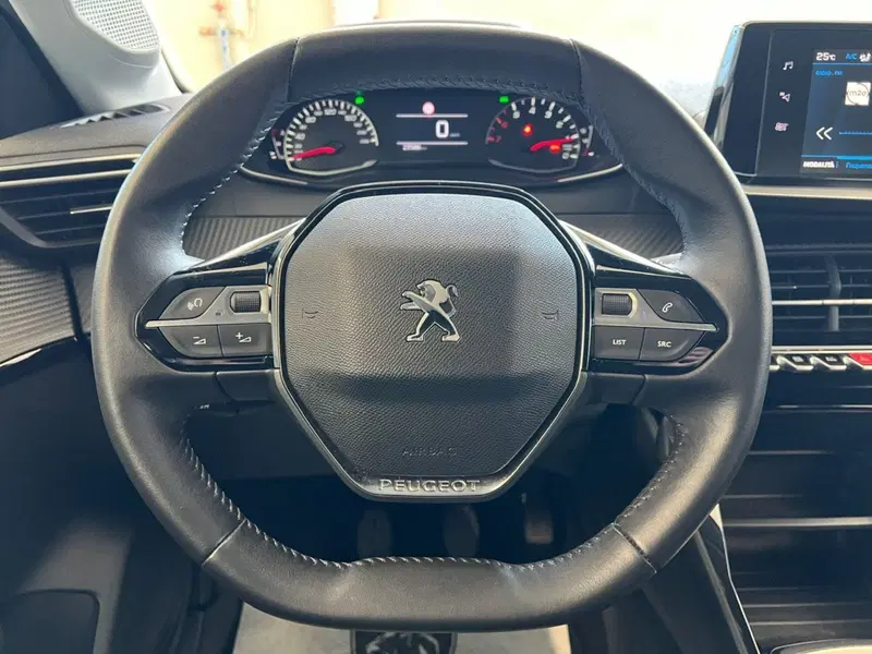 Peugeot 208 usata a Bari (18)