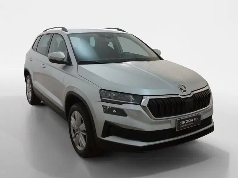 Skoda Karoq usata a Torino