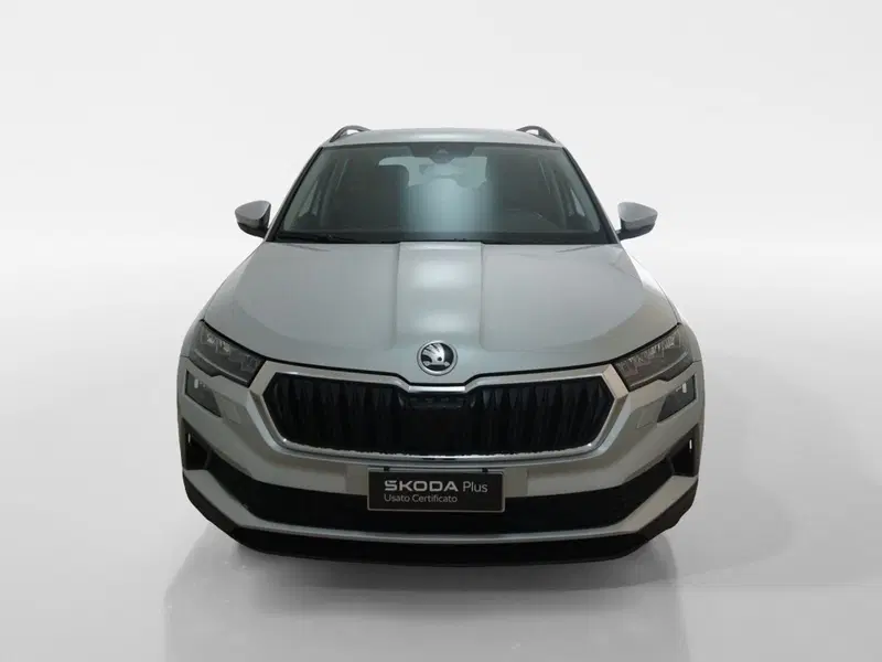 Skoda Karoq usata a Torino (2)