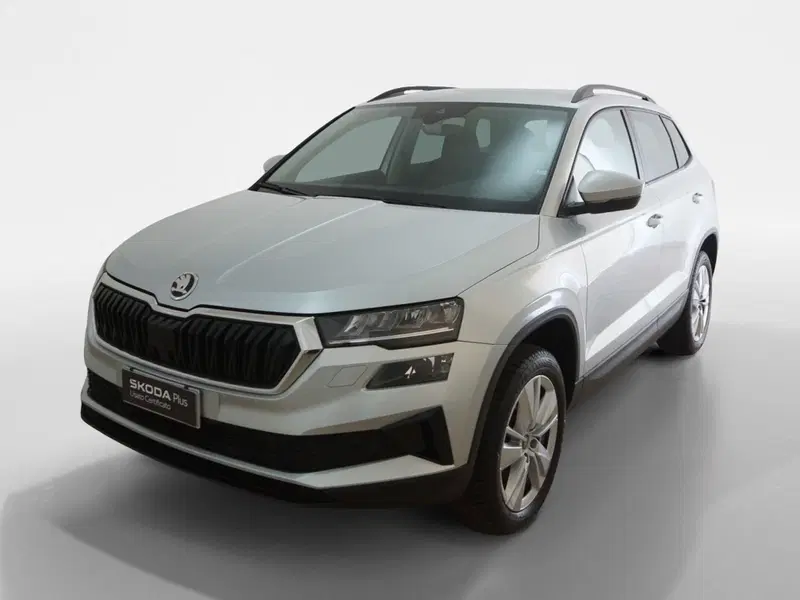 Skoda Karoq usata a Torino (3)