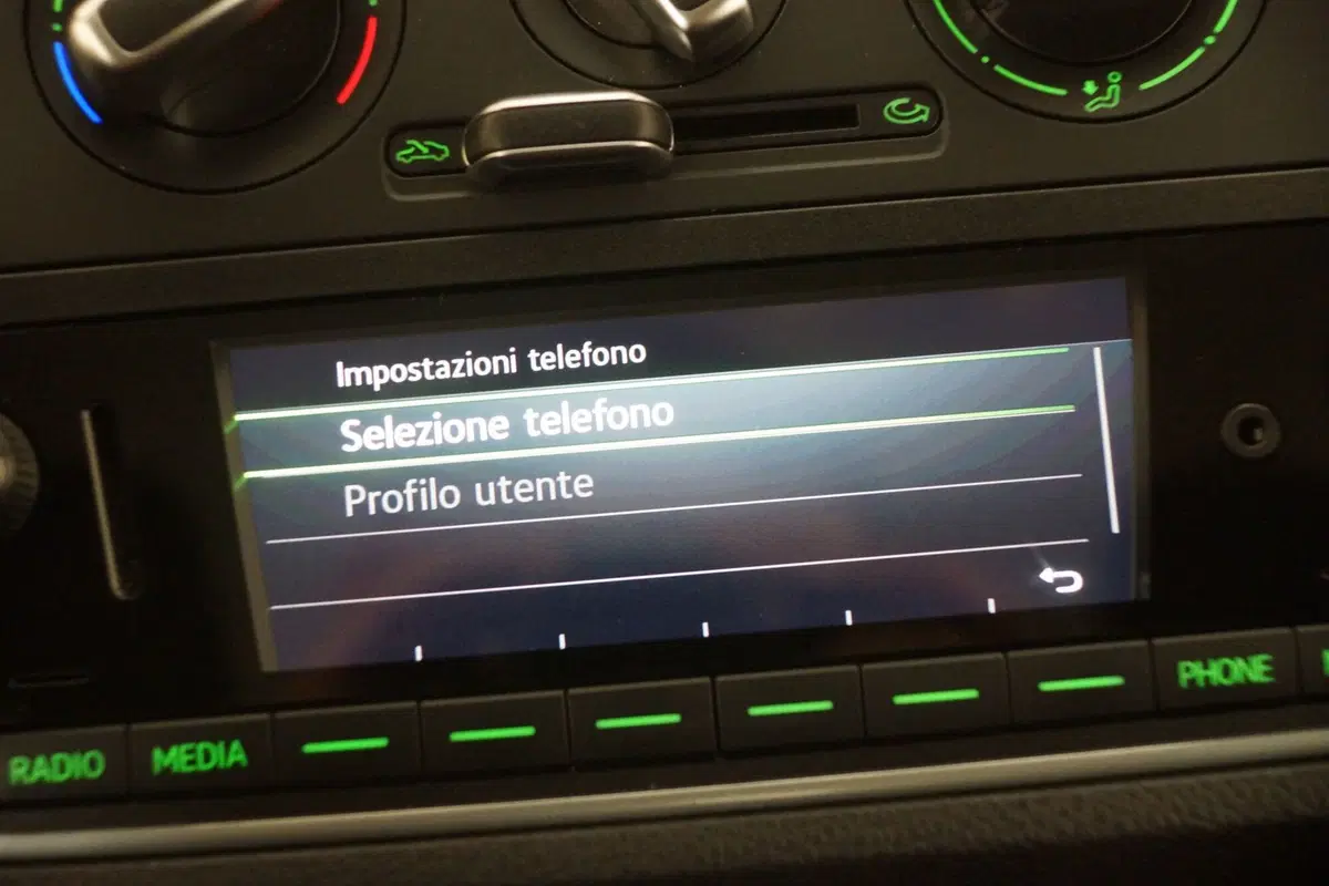 Skoda Citigo usata a Torino (16)