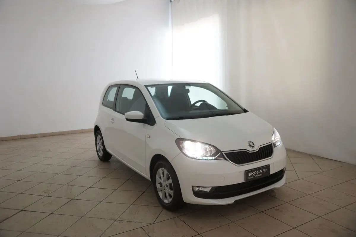 Skoda Citigo usata a Torino (18)