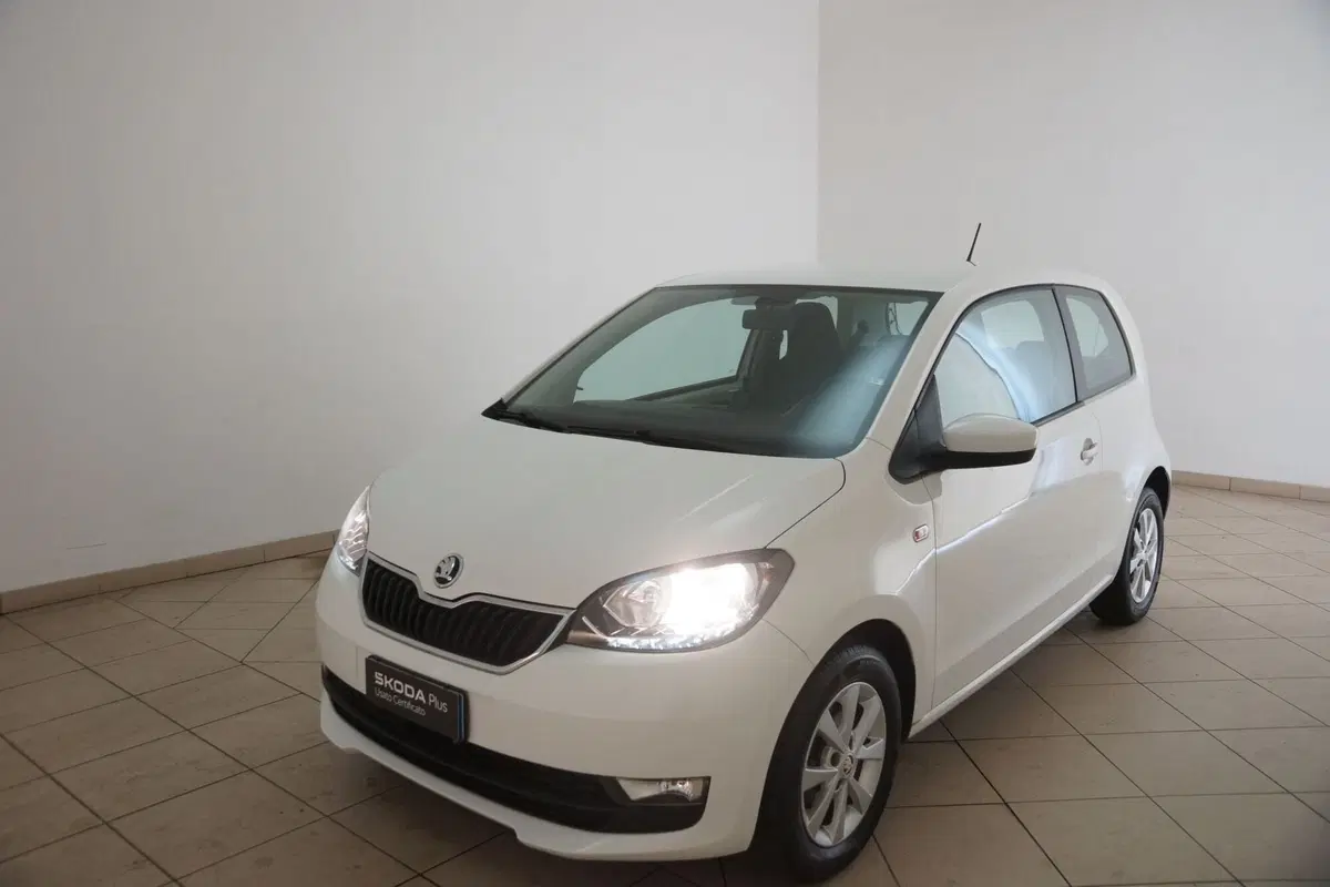 Skoda Citigo usata a Torino (20)