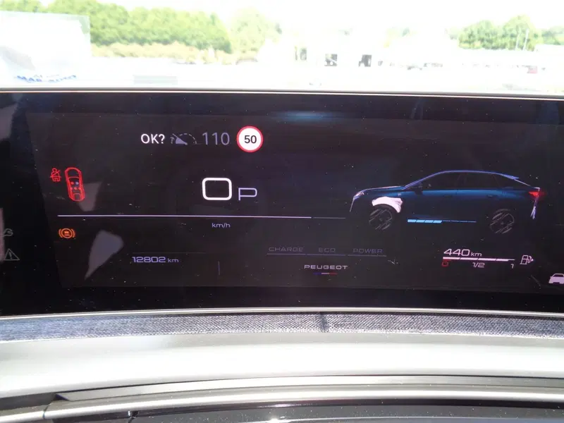 Peugeot 3008 usata a Treviso (14)