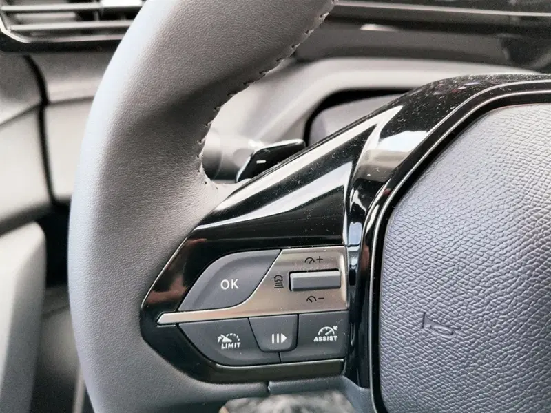 Peugeot 308 SW nuova a Varese (10)