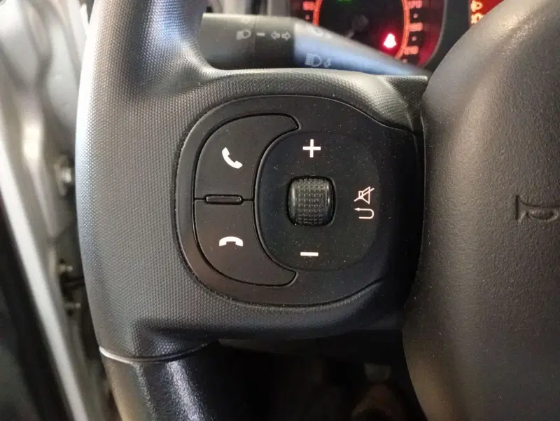 Fiat Panda usata a Rimini (15)