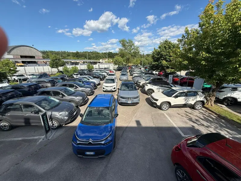 Lancia Ypsilon usata a Frosinone (16)
