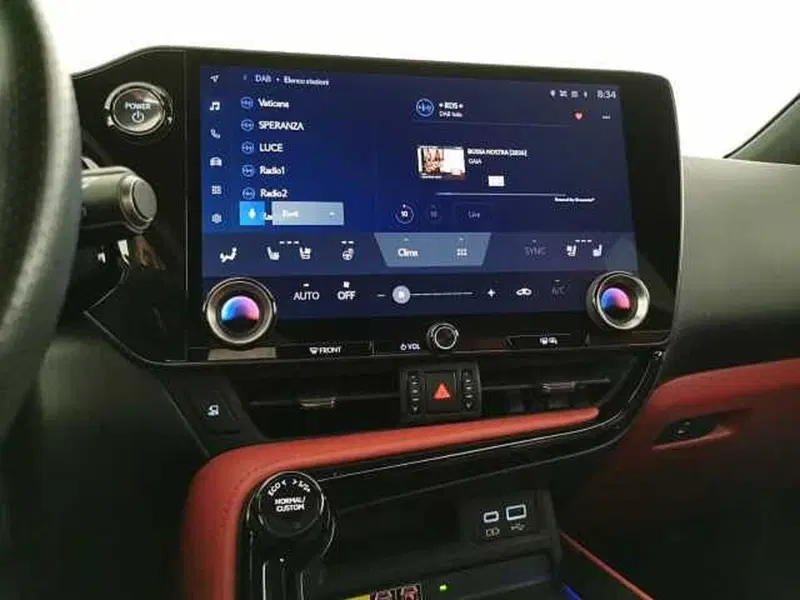 Lexus NX usata a Chieti (13)