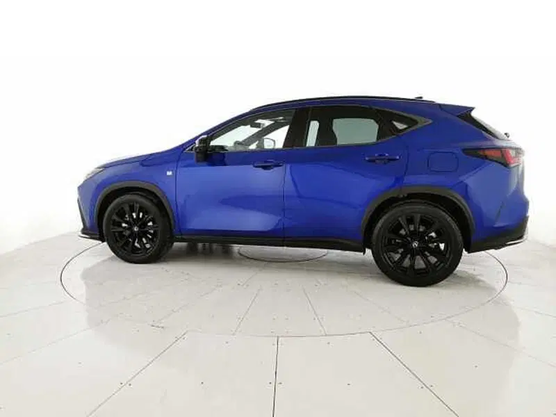 Lexus NX usata a Chieti (2)