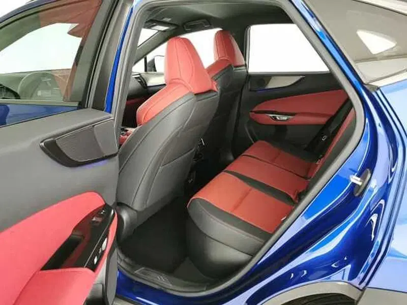 Lexus NX usata a Chieti (6)