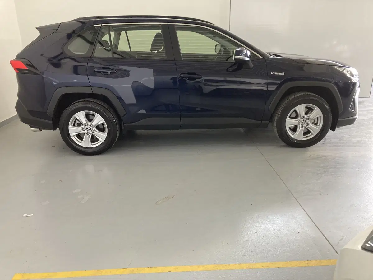 Toyota Rav4 usata a Barletta-Andria-Trani (4)
