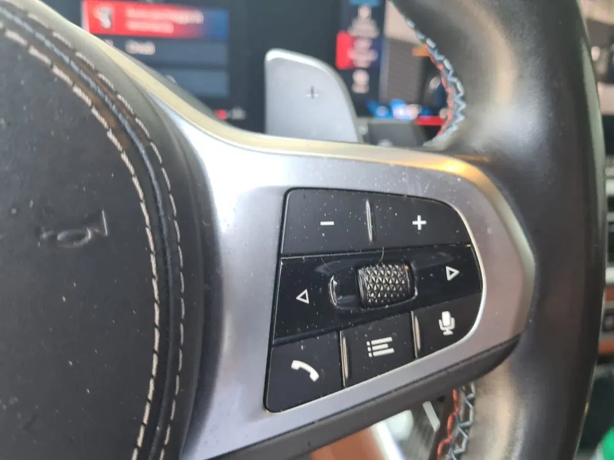 BMW X5 usata a Cuneo (16)