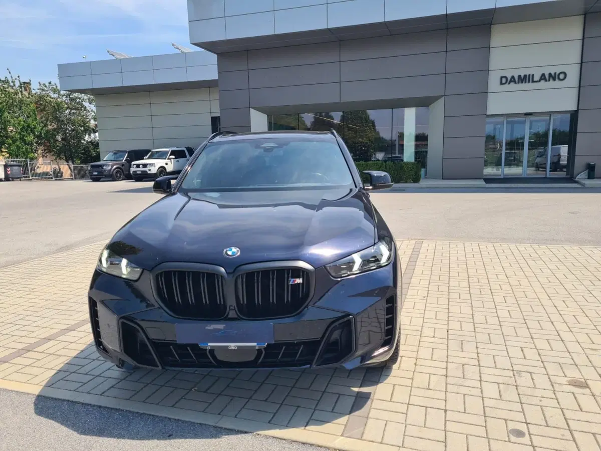 BMW X5 usata a Cuneo (3)